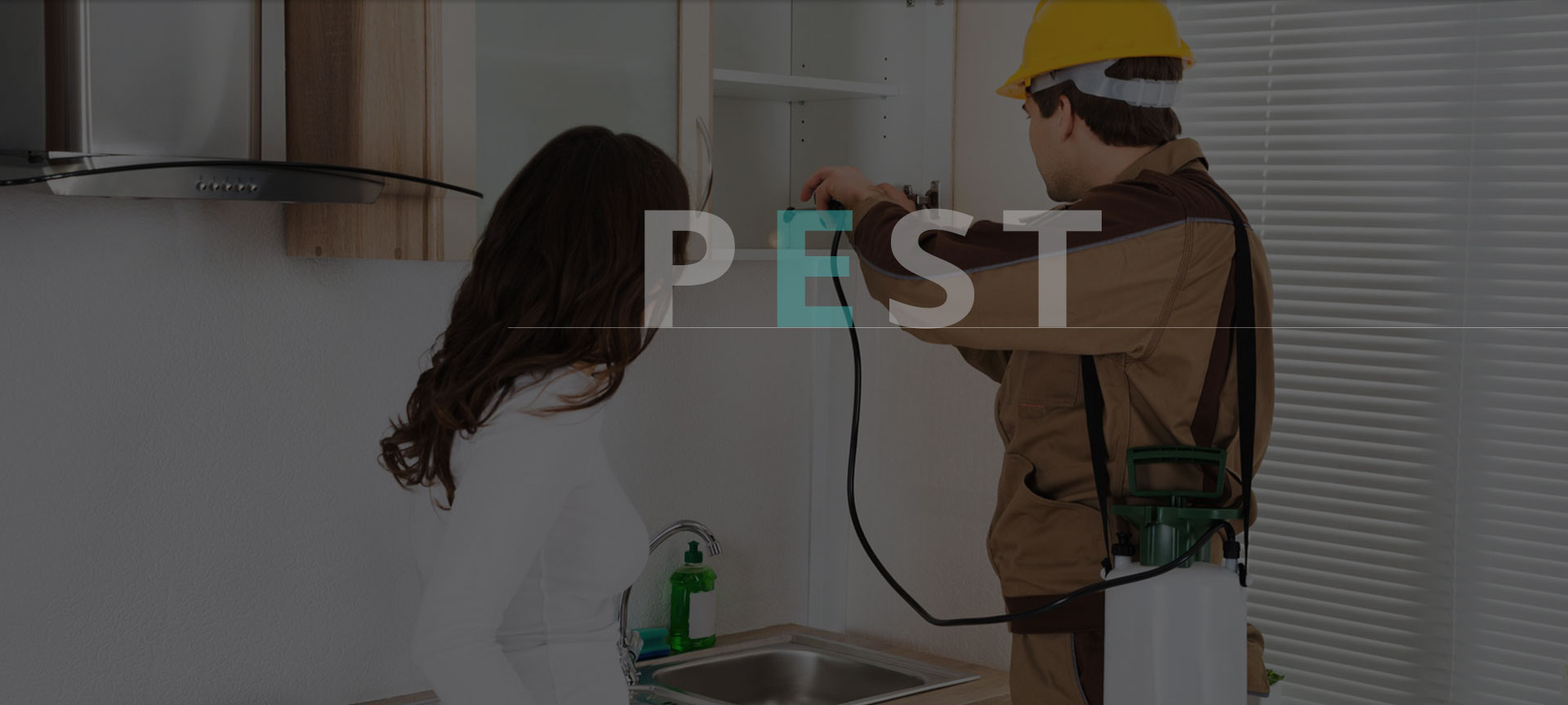 Modern Pest Control