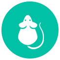 Rodent