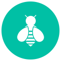 Bee Control
